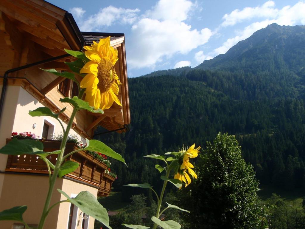 Arche Hof Oebristhof Apartment Kleinarl Luaran gambar